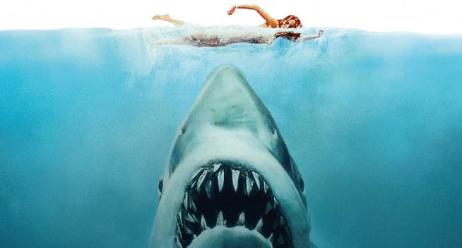 ACADEMIE | JAWS 50 jaar
